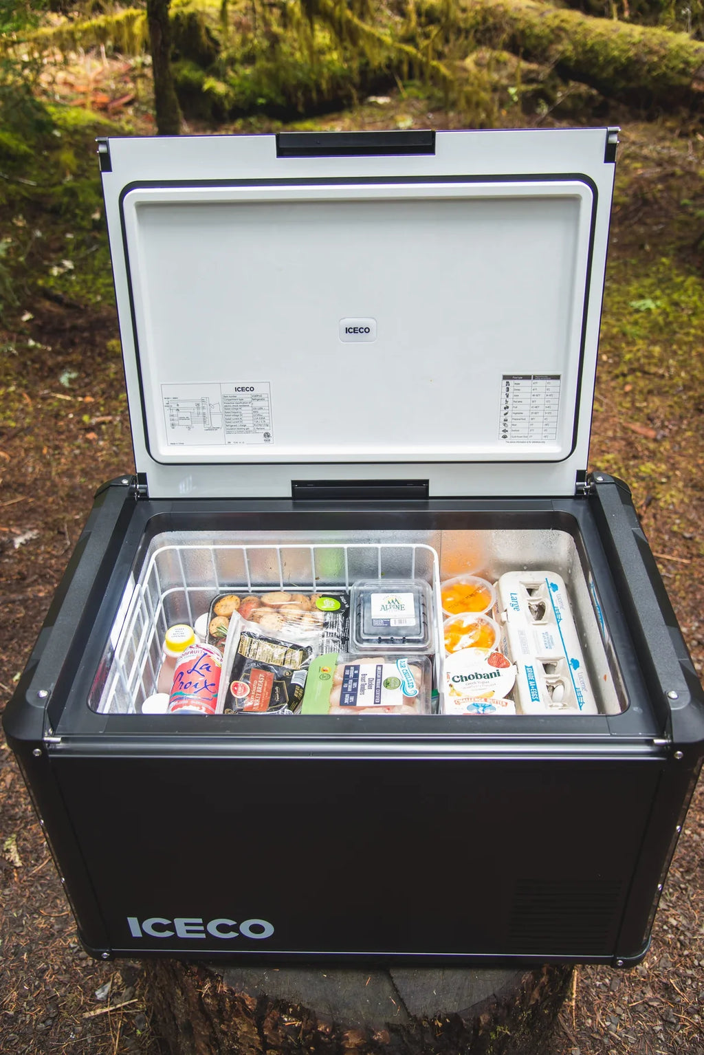 Réfrigérateur Congélateur ICECO VL60PROS 60L - Gris